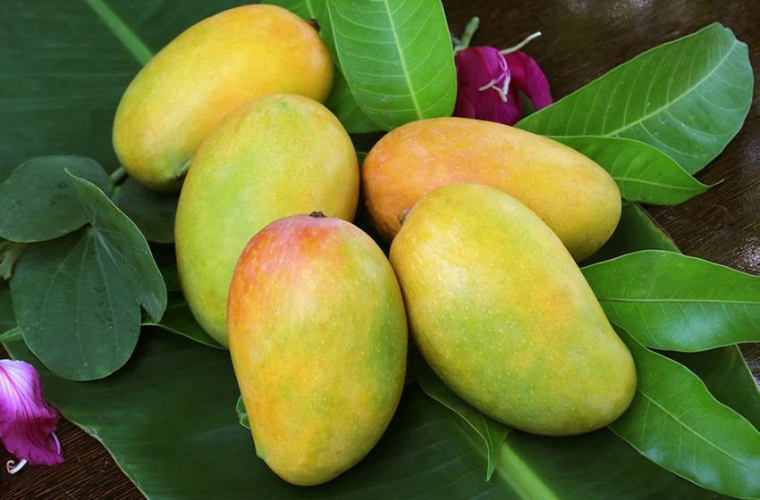  Top 6 trái cây đặc sản Quảng Ngãi vừa tươi ngon vừa an toàn
