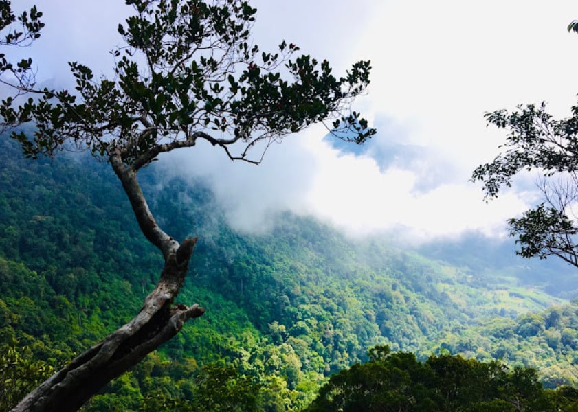 Top 10 danh lam thắng cảnh Quảng Ngãi