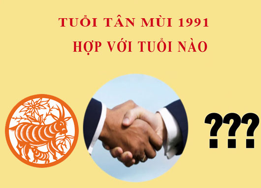Người sinh năm 1991 hợp tuổi nào? Hợp số nào?