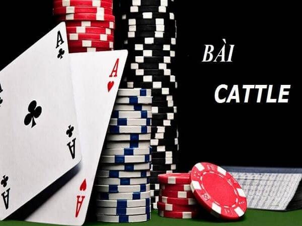 Sự khác biệt giữa Thắng Tùng và Thắng Trang trong trò chơi bài Catte là gì?