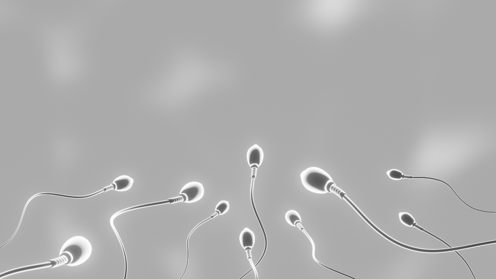 Tinh trùng dị dạng là gì? Cách nhận biết và cải thiện 1